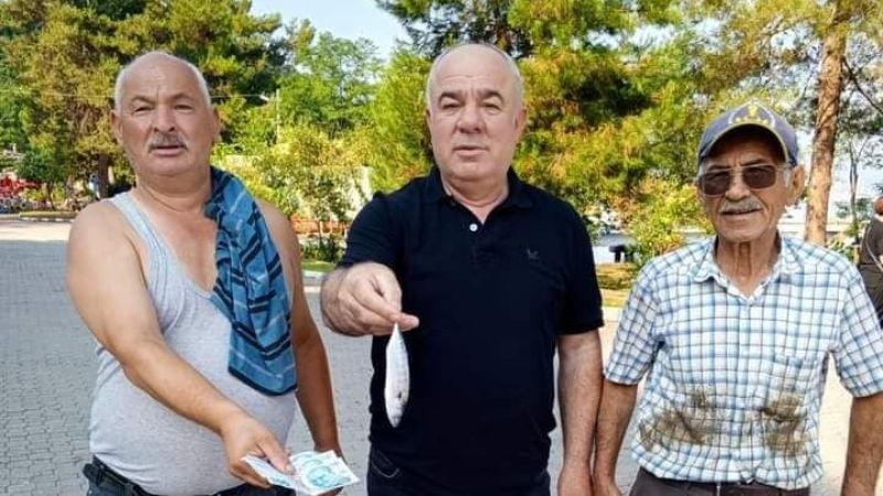 Ordu'da Palamut Kendini Göstermeye Başladı